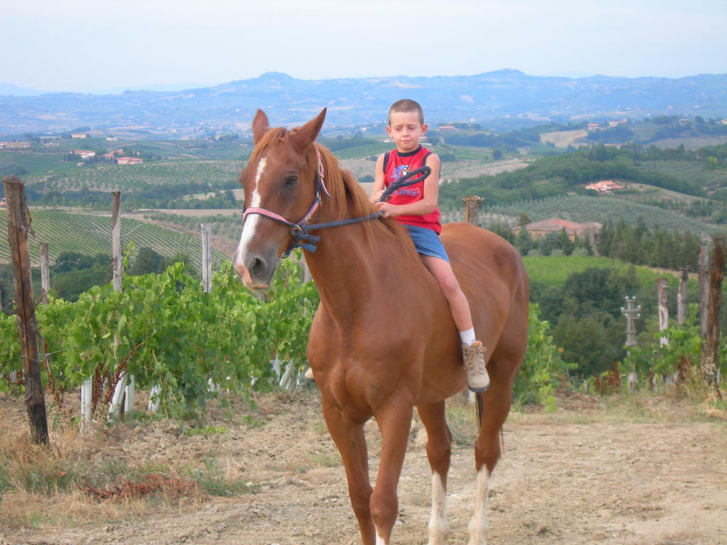 Agriturismo Podere La Marronaia San Gimignano Exteriör bild
